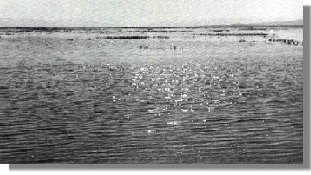 Fotograf�a de La Laguna de Antela. Foto que aprece en A Lagoa asolagada.