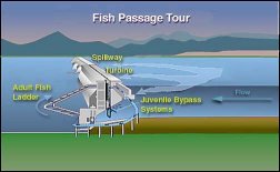 Dibujo de una escala correcta.