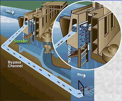 Otro ejemplo. La tecnolog�a es muy variada en este tipo de escalas.