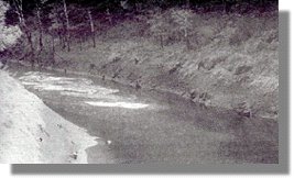 pren113.jpg (13238 bytes)