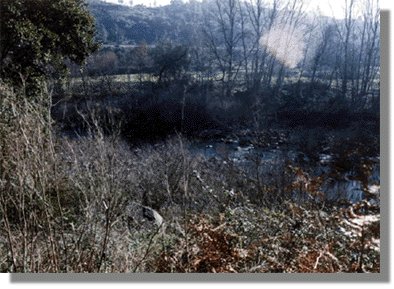 rsil4.jpg (40065 bytes)