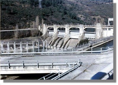 rsil5.jpg (37528 bytes)