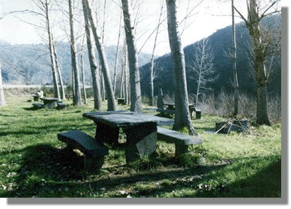 rsil6.jpg (40984 bytes)