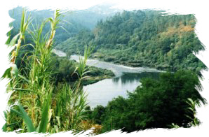 R�o MI�o en Frieira. Ourense