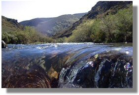 R�o Navea (Ourense) Foto do autor de la www.