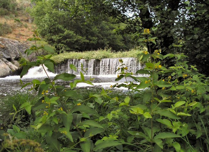 R�o Arnoia. Allariz. Ourense.