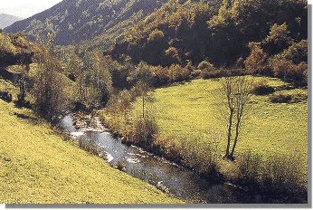 R�os do Caurel. Marabillosos.