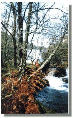 R�o Cerves. Ourense. Pozas de Mel�n, un lugar fora de serie.