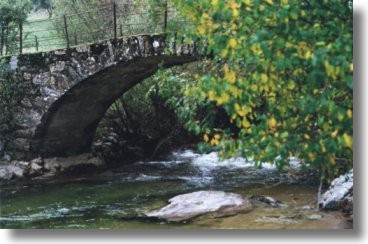 R�o Pedro. Zamora. Fotograf�a do autor da www.