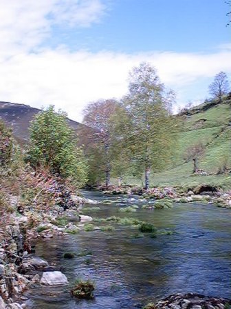 R�o Navea. Ourense.