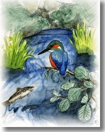 Cartel de "R�os para a vida". O pescador debe amar a natureza, respetala e loitar porque se respete.