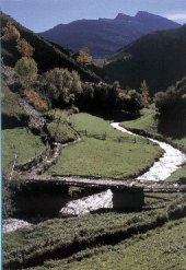 R�o Selmo. Por unha galacia sin minicentrais.