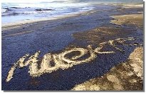 Praia de Traba. Fotograf�a de Ana Garcia.