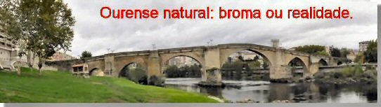 Ponte vella de Ourense: Unha realidad  marabillosa. Sobre o r�o Mi�o (a broma) un r�o a cuidar.
