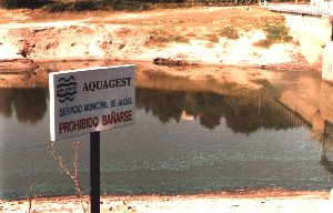 Aguaor1.jpg (19093 bytes)