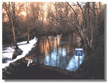 Fervena04.GIF (70241 bytes)