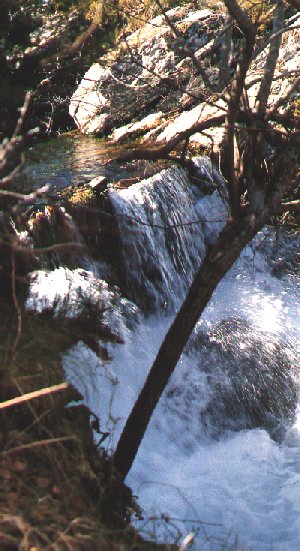 Ourense Natural: R�o Cerbeira.