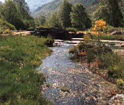 Río Xares. Parte alta. Foto de Ourense Natural.