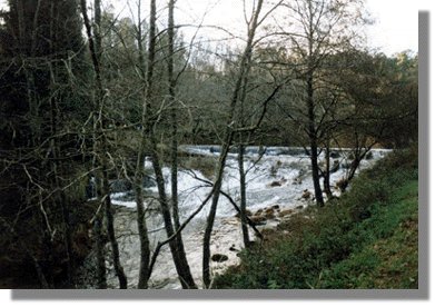 arent81.jpg (36875 bytes)