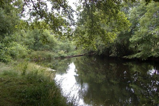 Fotograf�a del Arenteiro. Julio 2002. Zona del coto de la sociedad.