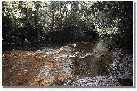 R�o Arnoia por riba de Puentegrande no ver�n.