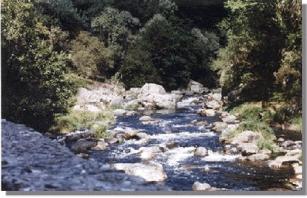 R�o Arnoia en Sande. Sensacional. Ver�n de 1999.