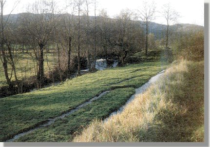 R�o Tamega. Tierras cercanas al pueblo de Castro de Laza.