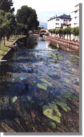 R�o T�mega en Verin.