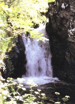 Fotografía de Tomás Vega.